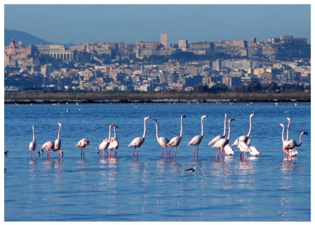 Casa Andrea A 1,5 Km Dal Mare! * Su Forti